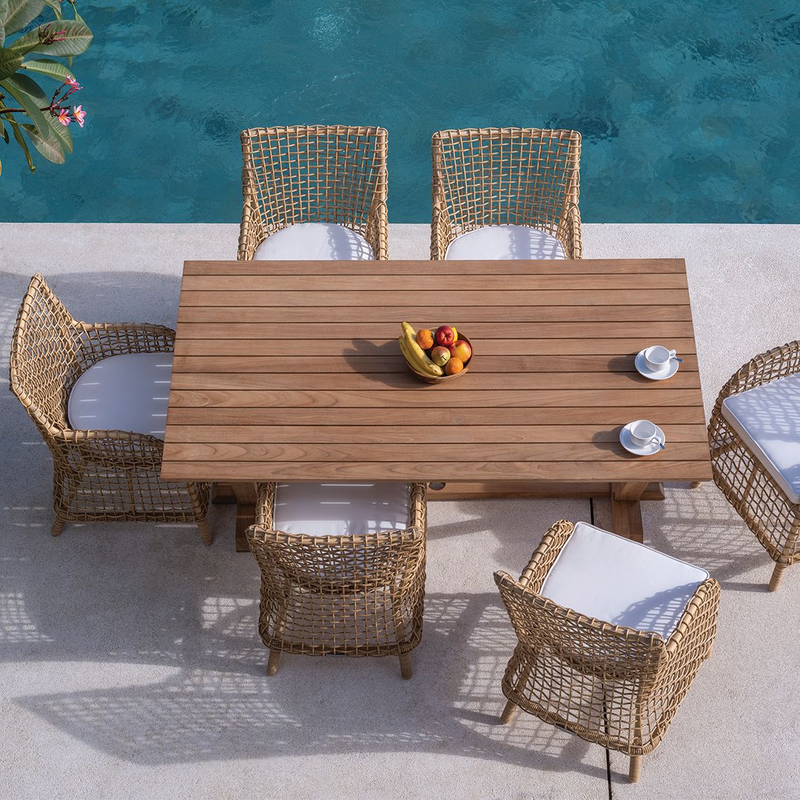 Charlotte Dining Armchair