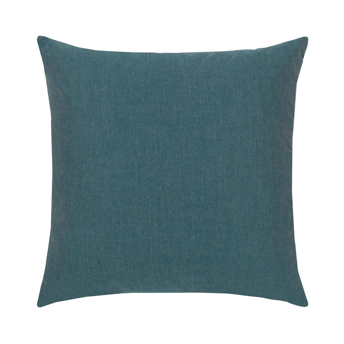 Chameleon Lagoon 22"x22" Toss Pillow