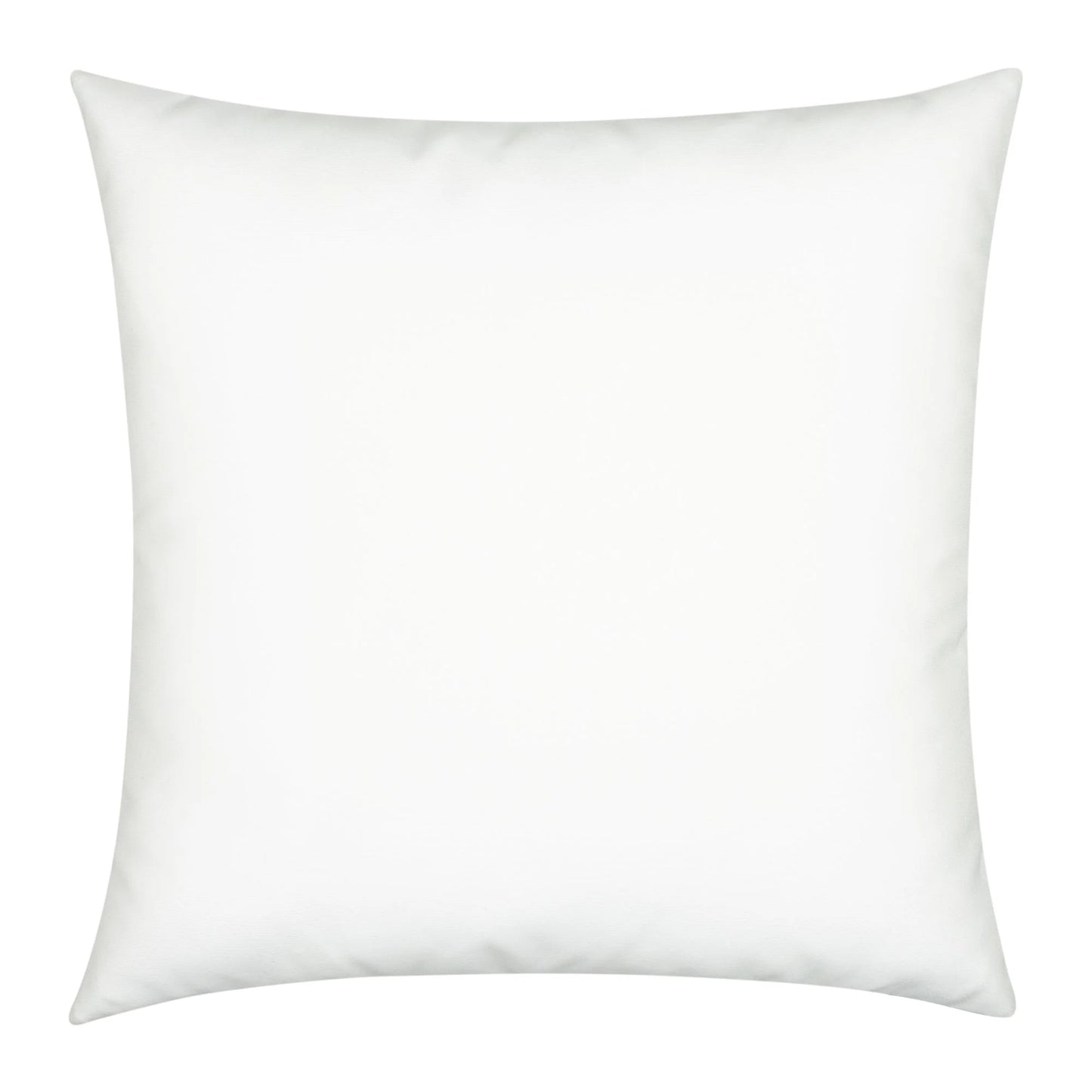 Chameleon Capri 22"x22" Toss Pillow