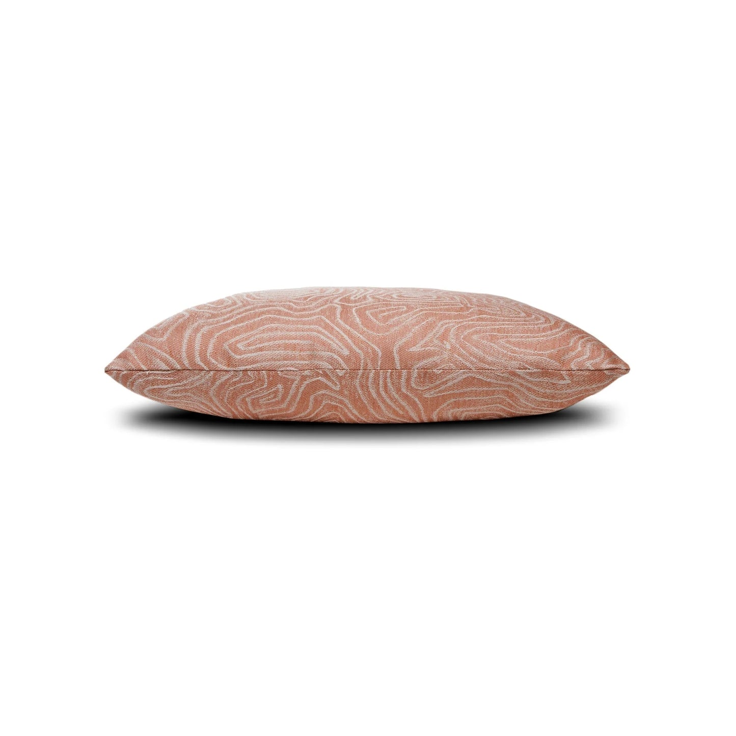 Chari Spice 20" x 20" Toss Pillow