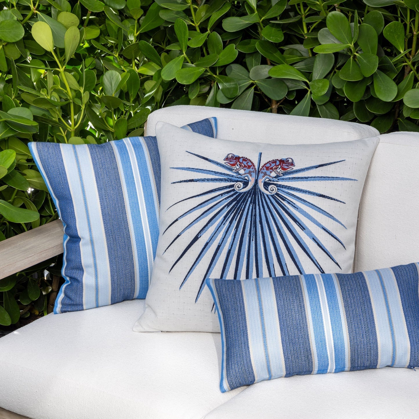 Chameleon Capri 22"x22" Toss Pillow