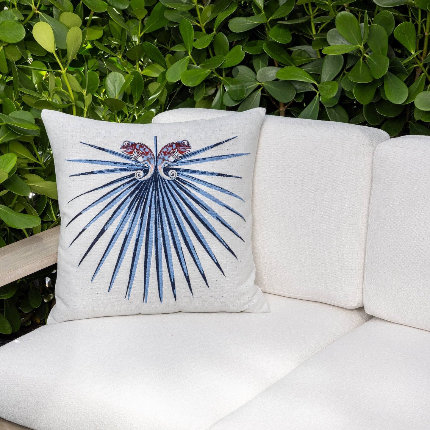 Chameleon Capri 22"x22" Toss Pillow