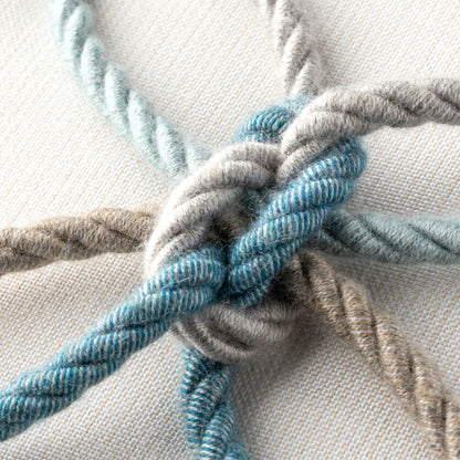 Aqua Rope 20"x20" Toss Pillow