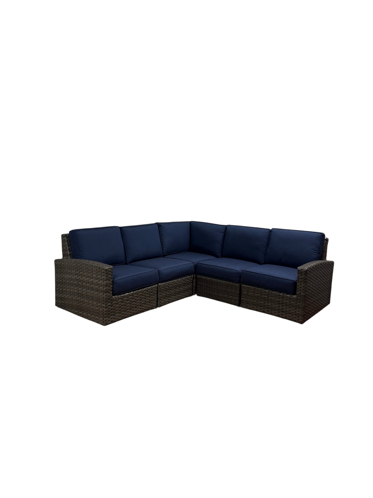 Biscayne 5 Seat Sectional (Ash)